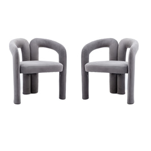 Set of 2 Contemporary Upholstered Accent Chair-0