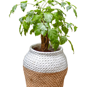 Balcony Plant Pot Set