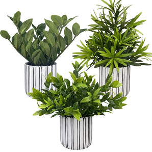 Artificial Fern Decorative Plants in Pot (3 Pieces)