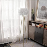 Lumière Plume Floor Lamp