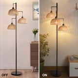 Eleanor Rattan Floor Lamp-3