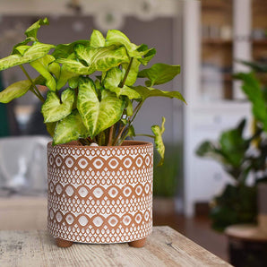 Modern Terracotta Planter Pots with Drainage Hole, 2Pc