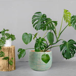 Ceramic Green Gold Plant Pot - Large 10" - Indoor & Outdoor Planters