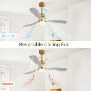 Indoor 52 Inch Ceiling Fan With Dimmable Led Light